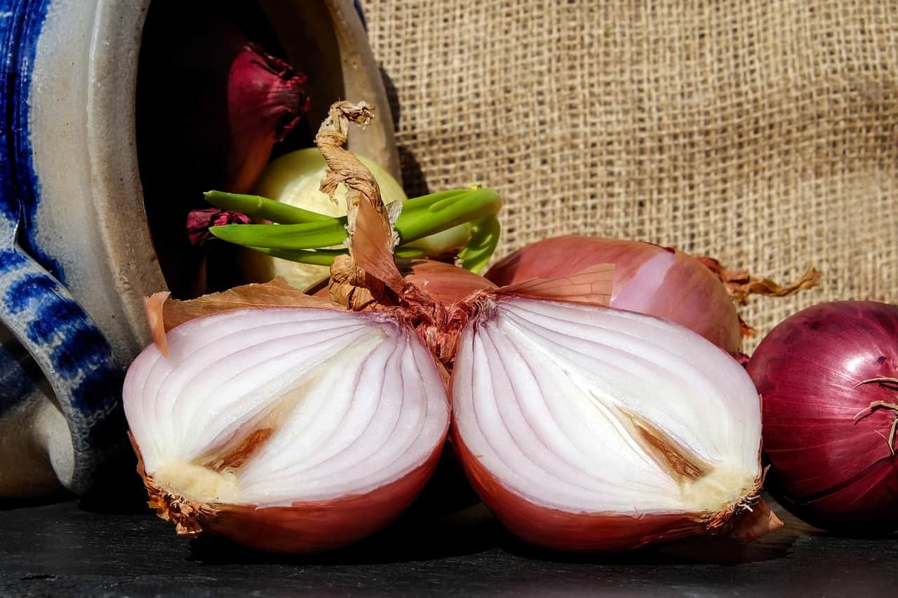 Healthy by nature. Recipe for homemade onion syrup