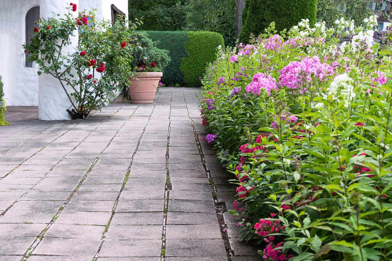 Ways to clean paving stones