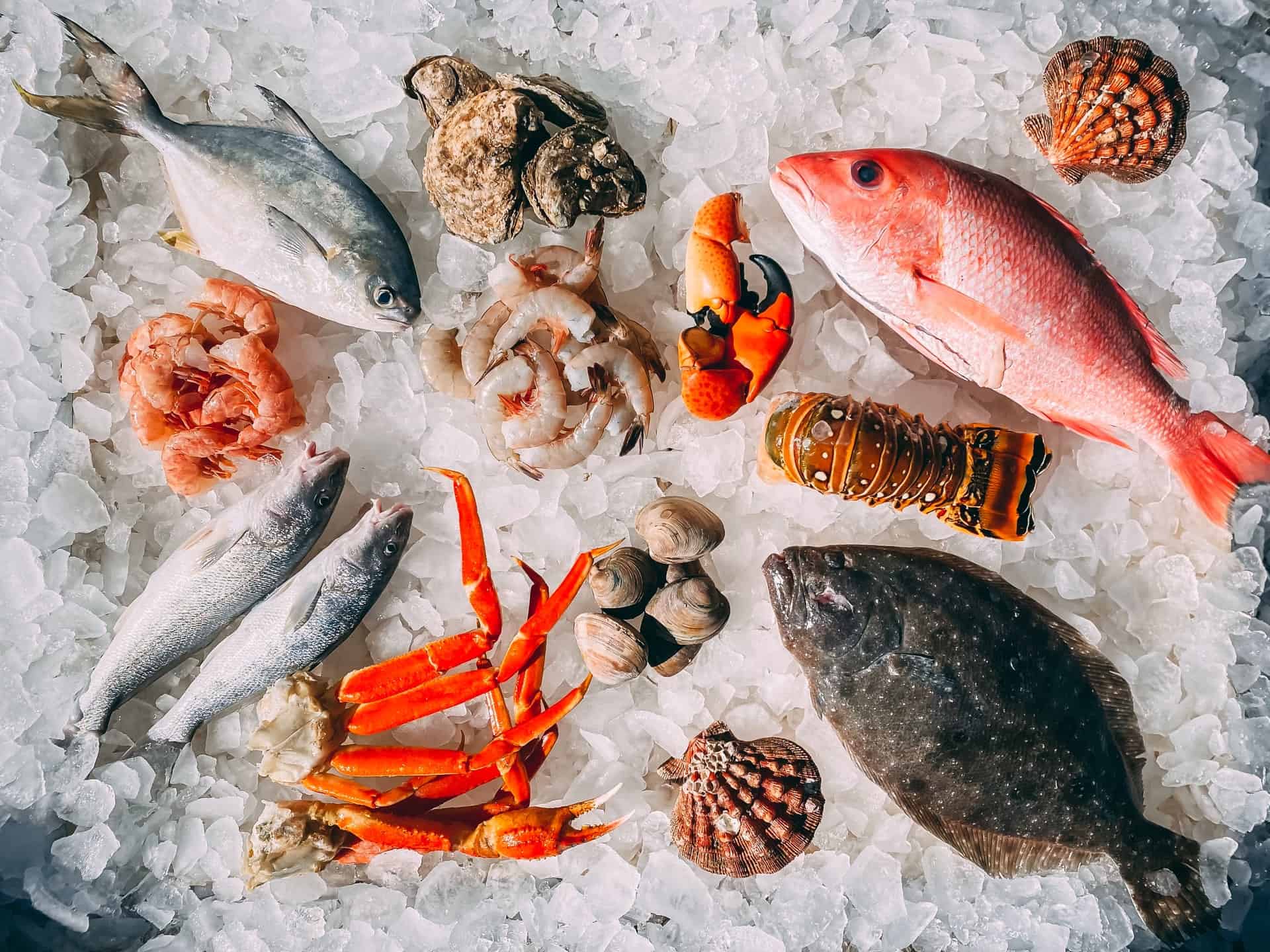 Get the Catch of the Day with these Seafood Specials Kits
