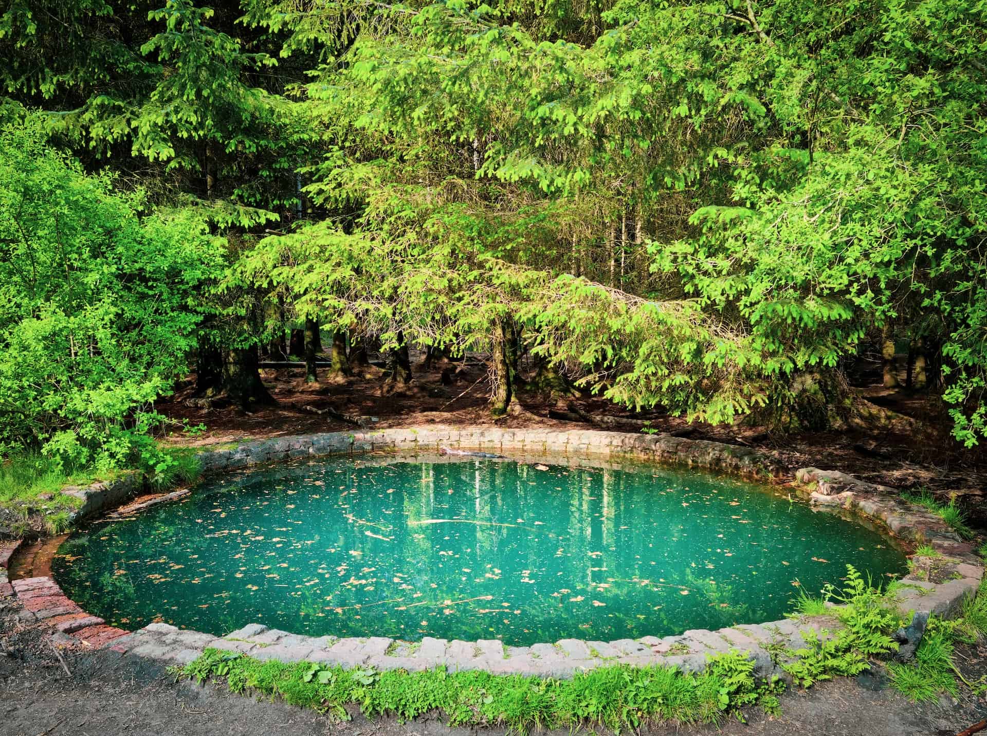 Easy and Effective Ways to Clean Your Pond: A Comprehensive Guide