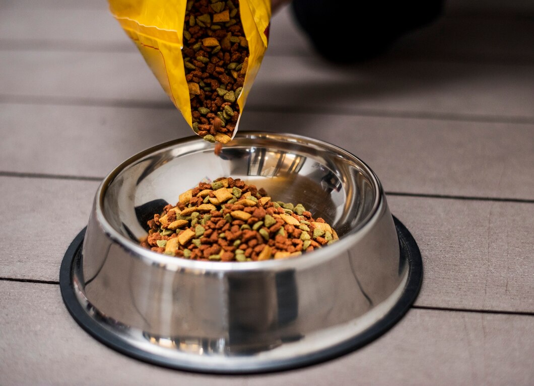 Exploring the benefits of wet versus dry food for your canine friend