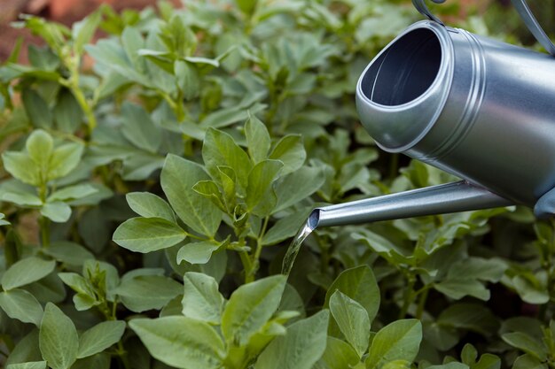 How can smart irrigation systems transform your home garden?